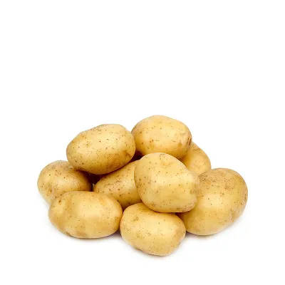 Alu